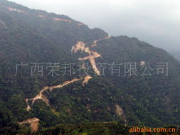 广西荣邦投资有限公司 重有色金属矿产产品列表与市场前景